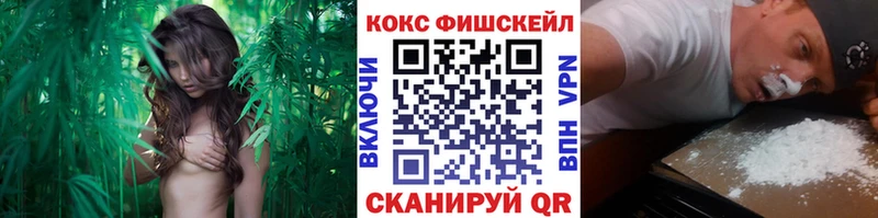 MEGA   Гвардейск  shop формула  COCAIN 97% 