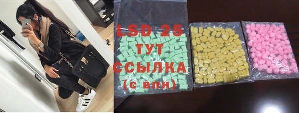 ГАЛЛЮЦИНОГЕННЫЕ ГРИБЫ Магас