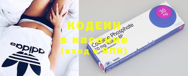 ГАЛЛЮЦИНОГЕННЫЕ ГРИБЫ Магас