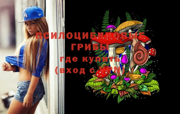 a pvp Майский