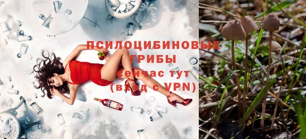 a pvp Майский
