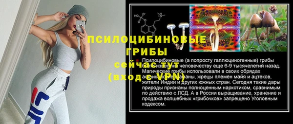ГАЛЛЮЦИНОГЕННЫЕ ГРИБЫ Магас