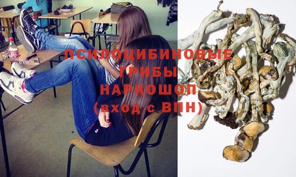 ГАЛЛЮЦИНОГЕННЫЕ ГРИБЫ Магас
