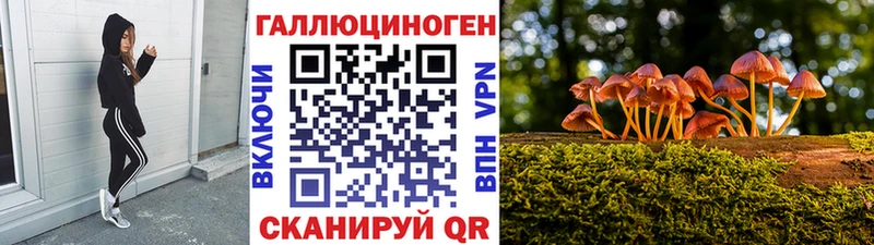 Галлюциногенные грибы мицелий  Гвардейск 